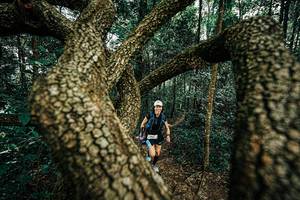 BIB: 
                            <button type="button" onclick="openModal(25393355)" class="btn btn-primary btn-sm float-right btn-popup" data-toggle="modal" data-target=".modal-high-quality">
                        <i class="fas fa-shopping-cart"></i> Add to Cart
                    </button>
                                            <button type="button" onclick="isThisMe(25393355, true)" class="btn btn-success btn-sm float-right btn-popup btn-isme hidden" data-toggle="tooltip" data-placement="bottom" title="นี่คือรูปของคุณใช่ไหม คลิกที่นี่เพื่อเอาเข้าอัลบั้ม">
                        <i class="fas fa-plus"></i> Add to album
                    </button>
                    <button type="button" onclick="isThisMe(25393355, false)" class="btn btn-warning btn-sm float-right btn-popup btn-isnotme hidden">
                        <i class="fas fa-ban"></i> Remove from album
                    </button>